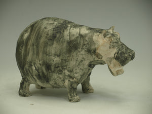 Hippopotamus